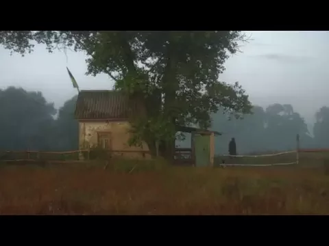 Homeward Bound (Дорога Домой) (trailer)