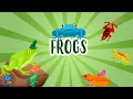 FROGS Educational s for Kids