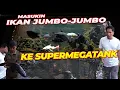 Lagu PENGHUNI BARU SUPERMEGATANK DI AKHIR TAHUN..!!