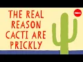 Nature s fortress How cacti keep water in and predators out - Lucas C Majure