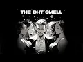 Download Lagu DHT spikes = virility unlocked. Attraction isn’t a choice.