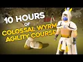 Loot From 10 Hours Of Colossal Wyrm Agility Course Updated