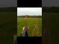 Download Lagu One Of the Best shot Hunters Edge #nobucksgiven #deerhunting #hunthowdown #bowhuntordie #deer