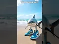 Download Lagu Bombardino Crocodilo vs Tralalero Tralala - Who would win the battle?🐊🤪 #funny #meme #brainrot