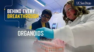 Behind Every Breakthrough Organoids