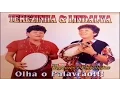Download Lagu TEREZINHA E LINDALVA