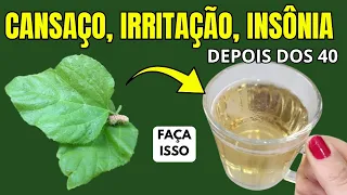 O Chá que eu Tomo pro Cansaço, Suor Noturno, Insônia e Irritação depois dos 40 #folhadeamora