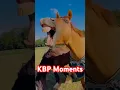 #funny #comedy | Funny Video | KBP Moments
