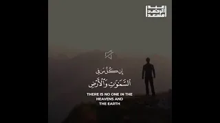 وكلهم آتيه يوم القيامة فردا سورة مريم عبدالرحمن مسعد 