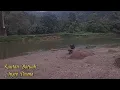 Download Lagu Lagu-Terbaru Anjay pasma-Rantau Batuah.