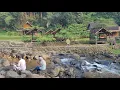 Download Lagu Duduk Santai Pinggir Sungai, Menghirup Udara Sejuk Di Tengah Indahnya Alam Pedesaan Sumedang