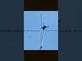 Download Lagu Wild Slug Attack in the Philippines - You Won't Believe What Happens Next! Airgun adventure ph