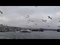 ما أصعبك & عبد الكريم عبد القادر