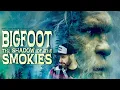 Download Lagu Bigfoot : The Shadow of the Smokies - Smoky Mountain Sasquatch Film (encounters \u0026 evidence)