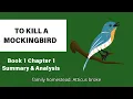 To Kill A Mockingbird Chapter 1 Summary Analysis Harper Lee