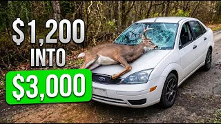 I Bought a Wrecked Ford Focus for $1,200! (HIT A DEER)