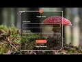 How To Create a Transparent Login Form Using HTML and CSS