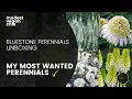 Bluestone Perennials Plant Haul Unboxing Most Wanted Plants