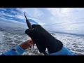 Download Lagu IKAN JADI GANAS 🔥🔥🔥 SAAT HUJAN TURUN...!!!CASTING NGOYOR DI KARANG MATI 🎣🎣