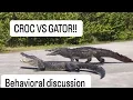 CROC VS GATOR Behavioral discussion