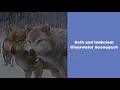 Seth and Leah Clearwater scene give credit