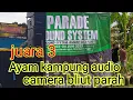 Download Lagu ayam kampung production||bikin kamera bliuut||juara 3 kontes sound ssjls puger#jemberselatan