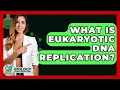 Download Lagu What Is Eukaryotic DNA Replication? - Biology For Everyone