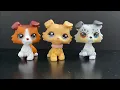 Comparing the new littlest pet shop lps g7 gen 7 wave 3 and wave 4 collie