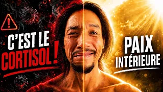 Le CORTISOL : l’ennemi invisible qui t’empêche de CHANGER 