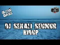 Download Lagu DJ SEKALI SEUMUR HIDUP • LESTY • ID PROJECT