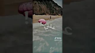 اغنية عود فرنسي عربي مع جمال الامريكان 