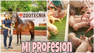 50 Cosas sobre la ZOOTECNIA || Lo que debes saber antes de estudiar Zootecnia 🐷🐮🐣