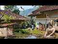 Download Lagu Suasana Pedesaan Kampung Campaka Cianjur Jawa Barat Sangat Indah Bikin Betah