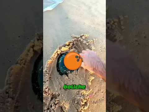 Este Objeto Misterioso Na Areia Enganou Todo Mundo! 🏖️😲