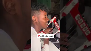 شفيت منك ولا بندم ولا ببكيك بالرجعة 