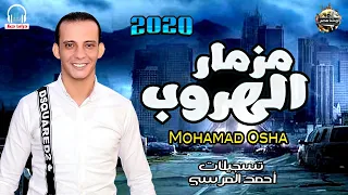 مزمار الهروب   وطلعات العصفورة الجديد   اوشا مصر   حظ يا حظ      دندنها