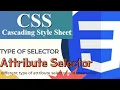 23 - HTML CSS in Hindi Attribute Selector CSS Tutorial For Beginners 23
