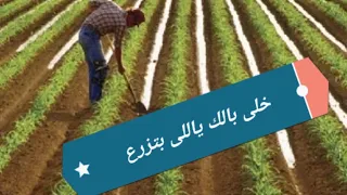 ترنيمة خلى بالك ياللى بتزرع للمرنم رومانى سليمان دندنها