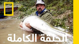 السمكة العملاقة الصيد الأسطوري ناشونال جيوغرافيك أبوظبي 