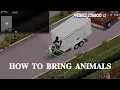 Project zomboid build 42 how to bring animal