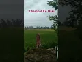 Download Lagu Chambal ke daku #viralsong #treding #chambal #gwalior @masoomsharmafilm