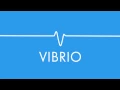 Vibrio 2 0 - The lighting app built with you in mind