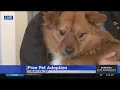 Riverside County offering free pet adoptions