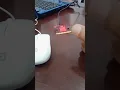 I Controlled Lights With ONLY My Claps MICROBIT Project
