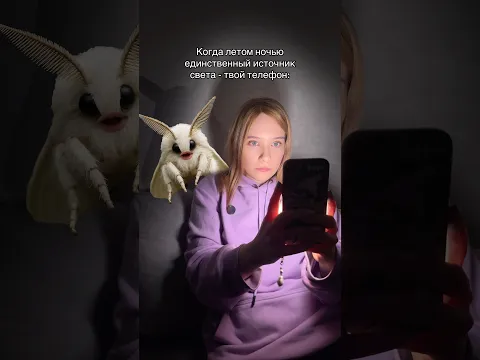 Когда ночью летом единственный источник света - твой телефон