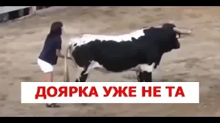 Стихи из жизни ДОЯРКА УЖЕ НЕ ТА 