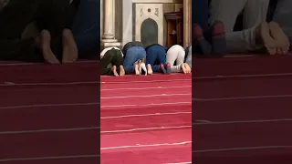 من جديد  قطة تلاعب المصلين أثناء الصلاة   لا تنس الاشتراك بالقناة دندنها