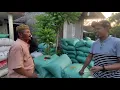 Download Lagu Harga Gabah Hari ini.... di berbagai wilayah!!!!! #hargagabah#berkahpadigroup