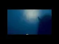CAKE - I Will Survive bass