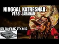 NINGGAL KATRESNAN COVER DTX MULTI 12__ TES SAMPLING JARANAN TERBARU
